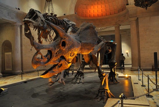 NaturalHistoryMuseumOfLosAngeles