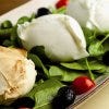 best-italian-in-los-angeles-fresh-bufala-mozzarella