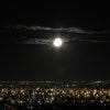 noites