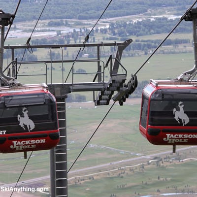 Jackson Hole Invites You to Get Wild