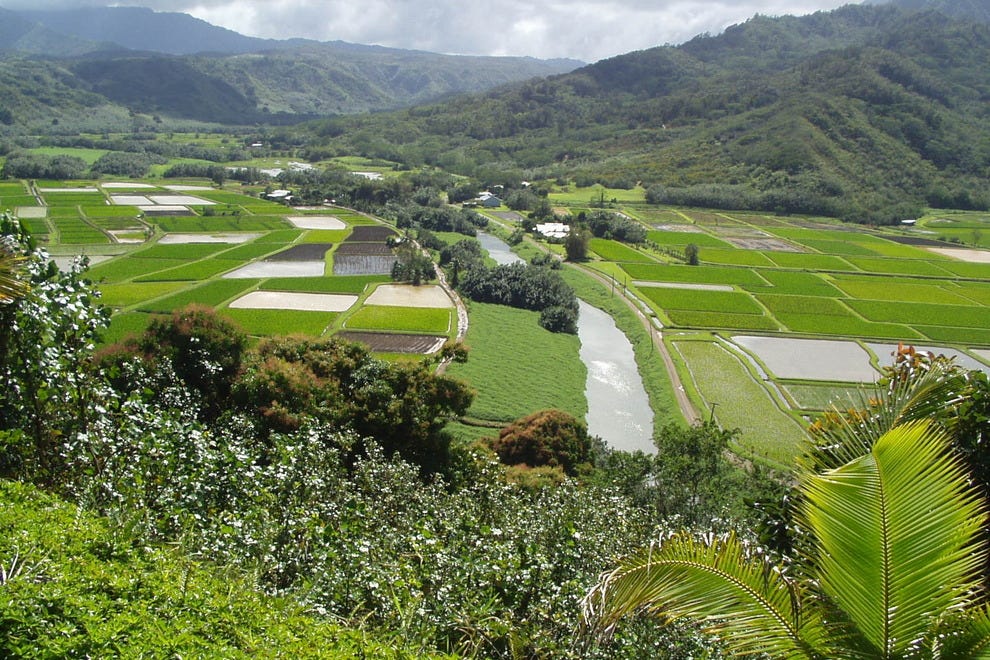 Hanalei Valley Overlook Kauai Attractions Review 10Best Experts and