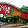 srfrogs_sm.jpg