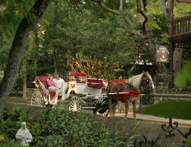 The Lovely St. Francis Inn in St. Augustine