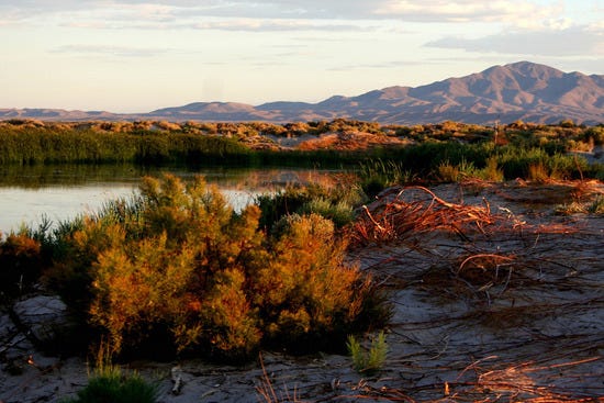 Ash Meadows National Wildlife Refuge.jpg