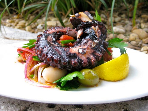 Octopus.jpg
