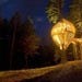 The Redwoods Treehouse - Warkworth, New Zealand