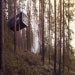 The Cabin, Tree Hotel - Harads, Sweden