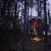 The UFO, Treehotel -  Harads, Sweden