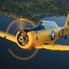 You are at the controls in the front cockpit of a WWII fighter-trainer