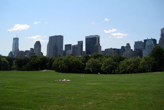 Central Park meadow