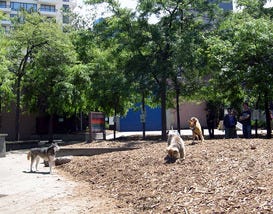 Photo courtesy of City of Seattle Parks and Recreation