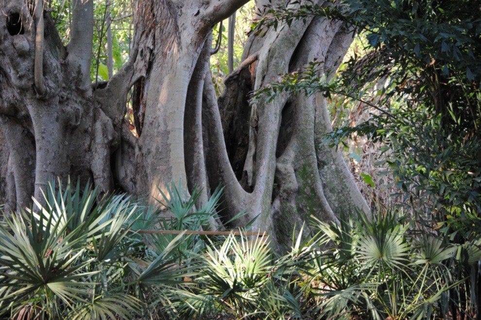 Flamingo Gardens: Fort Lauderdale Attractions Review - 10Best Experts