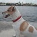 Intracoastal Waterway in Ft. Lauderdale