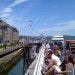 Boston Historic Sightseeing Cruise