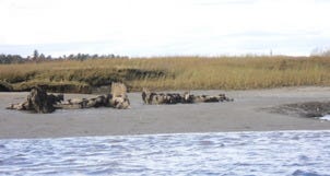 Beach Sun and Fun in Wells, Maine near Portland