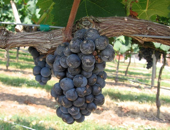 May 25, 2012:  1 Day to Albuquerque Wine Festival