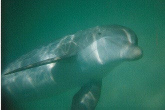 Four Seasons Hotel Vancouver: Vancouver Hotels Review - 10Best Experts