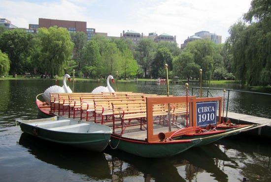 The swan boats at the Boston Public Garden are a popular attraction.