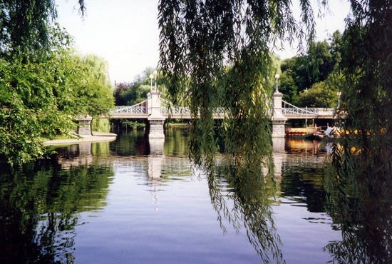 The lake and bridge at the Boston Public Garden, the first public botanical garden in the United States; Boston, Massachusetts.