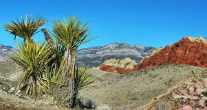 10Best Day Trip: Explore Red Rock Canyon and Beyond