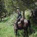 Ride a Horse or Llama Through Yellowstone