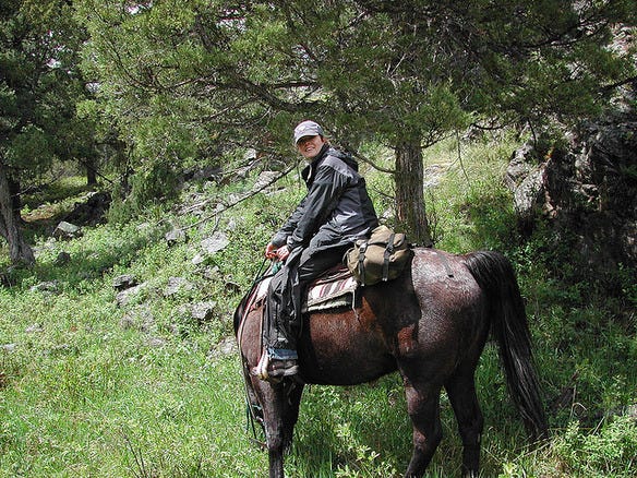 Ride a Horse or Llama Through Yellowstone