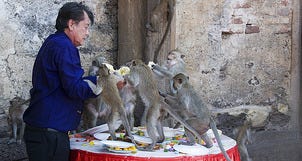 10Best Day Trip:  Visit Lopburi