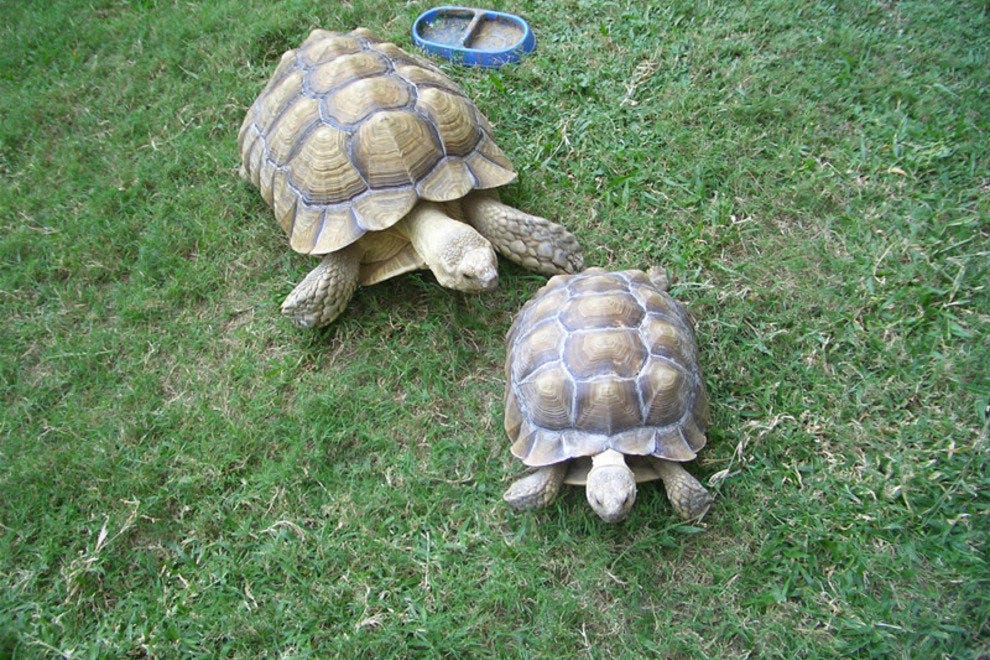 Key West Free Things to Do 10Best Attractions Reviews