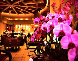 Photo courtesy of <a href="http://oishithai.com" target="_601196462" rel="nofollow">Oishi Thai</a>