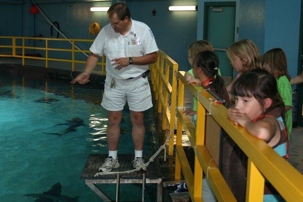 ABQ BioPark Aquarium Albuquerque Attractions Review 10Best Experts