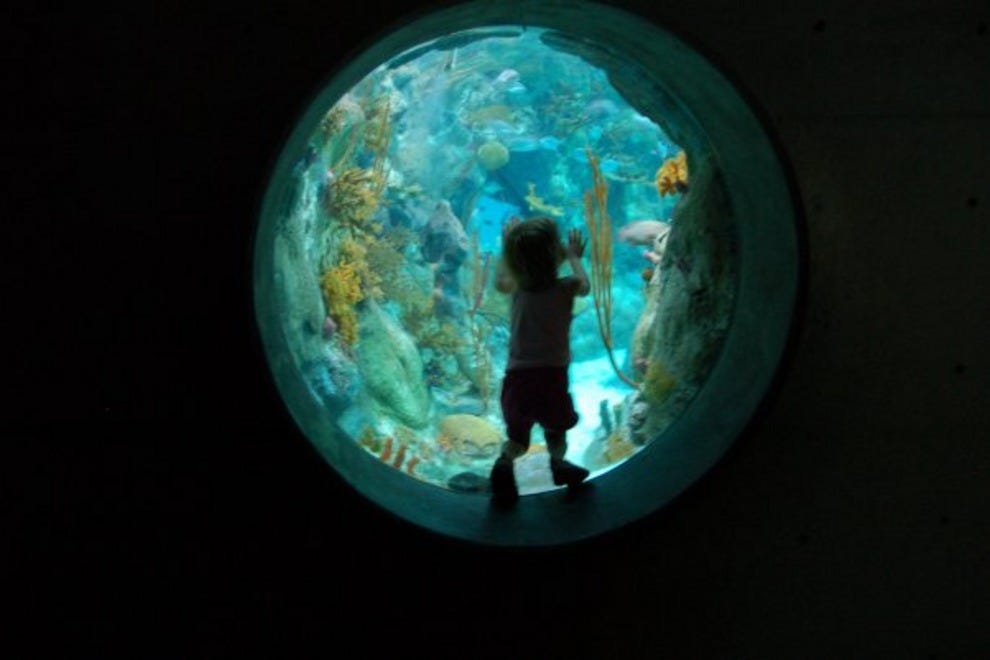 ABQ BioPark Aquarium Albuquerque Attractions Review 10Best Experts