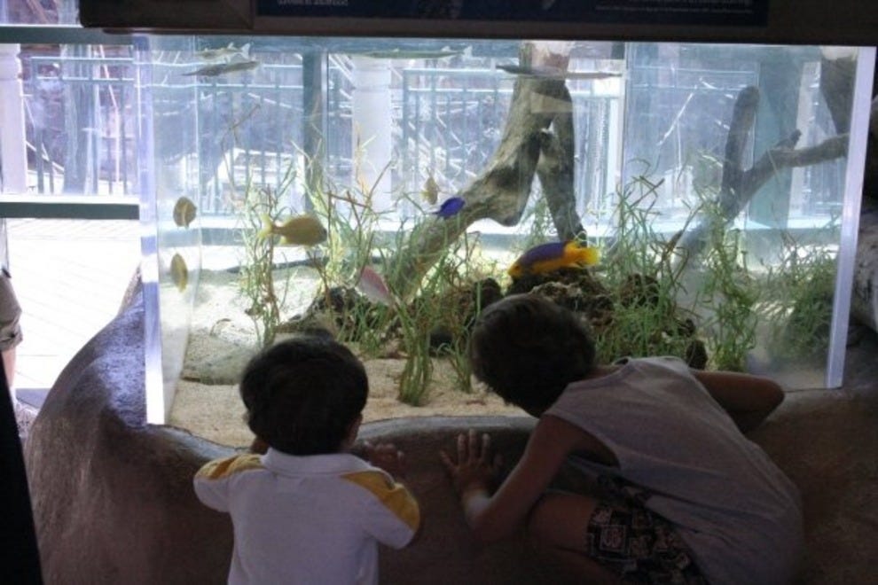ABQ BioPark Aquarium Albuquerque Attractions Review 10Best Experts