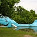 Swimming with the Catoosa Blue Whale in Catoosa, Oklahoma
