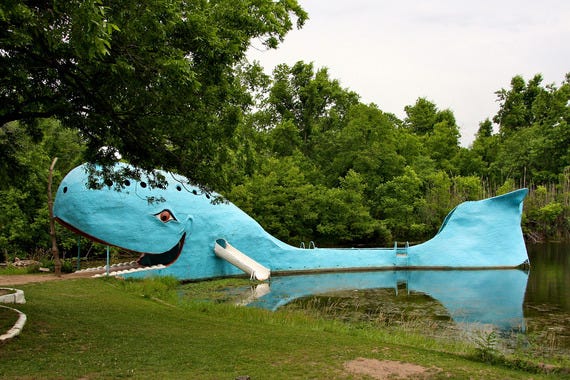Swimming with the Catoosa Blue Whale in Catoosa, Oklahoma