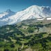 rainier.jpg