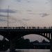 800px-Austin_-_bats_watching_3.jpg