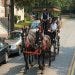 Savannah_Carriage_Tour_SZddykz_EHKqM2mnUf9rOkq_rgb_s.jpg