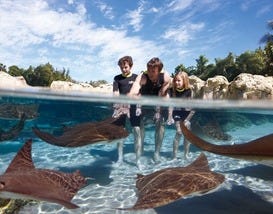 Photo courtesy of <a href="http://www.visitorlando.com" target="_1838353352" rel="nofollow">Visit Orlando</a>