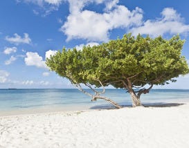 Aruba, Aruba Overview Slideshow