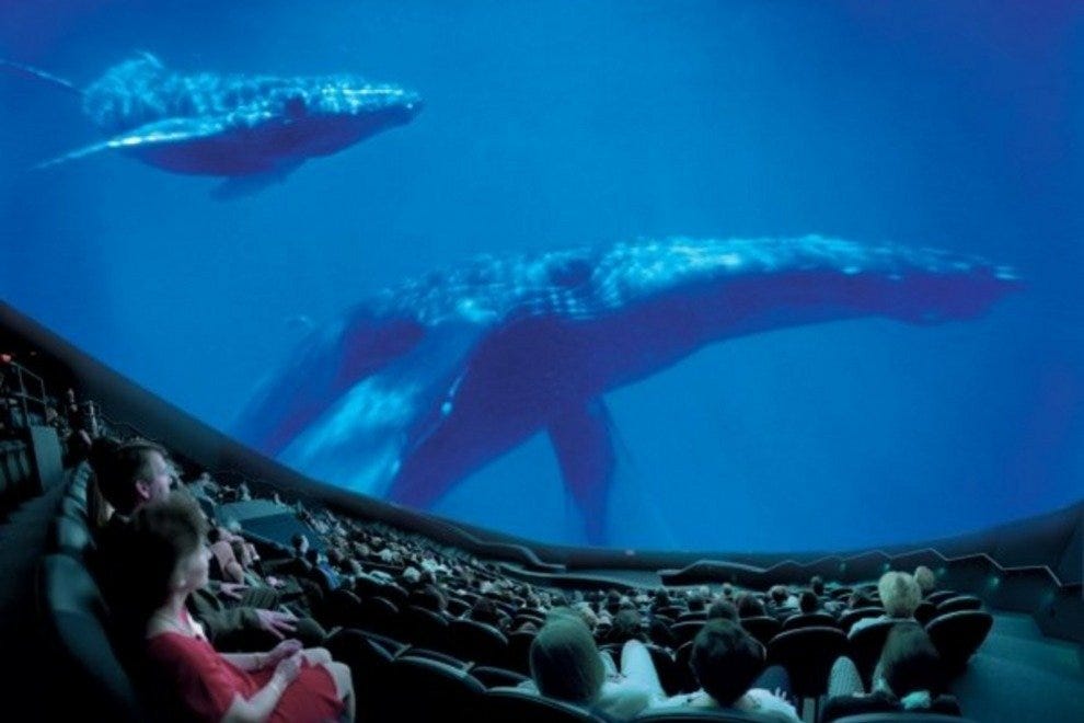 Orlando Science Center Orlando Attractions Review 10Best Experts and