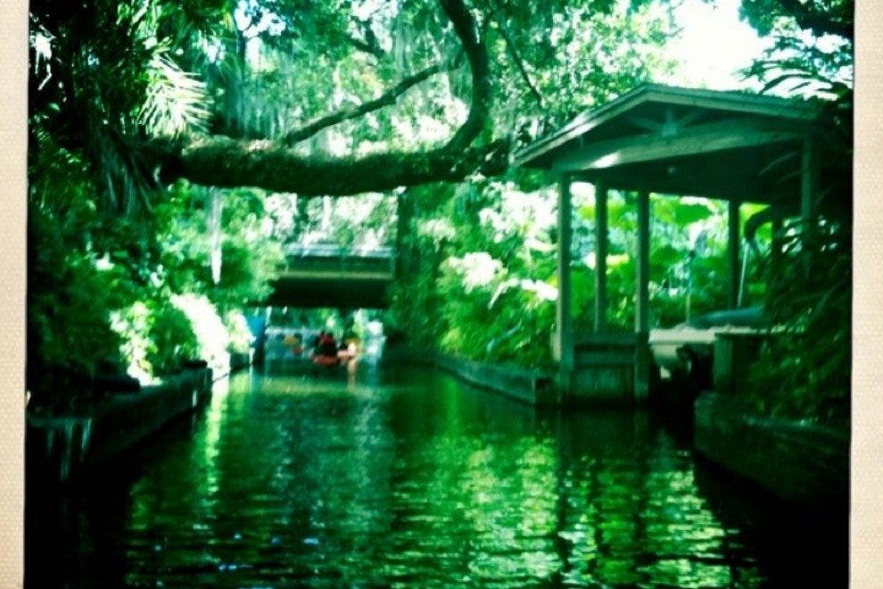 Peace of Mind Kayak Tours Orlando Attractions Review 10Best Experts