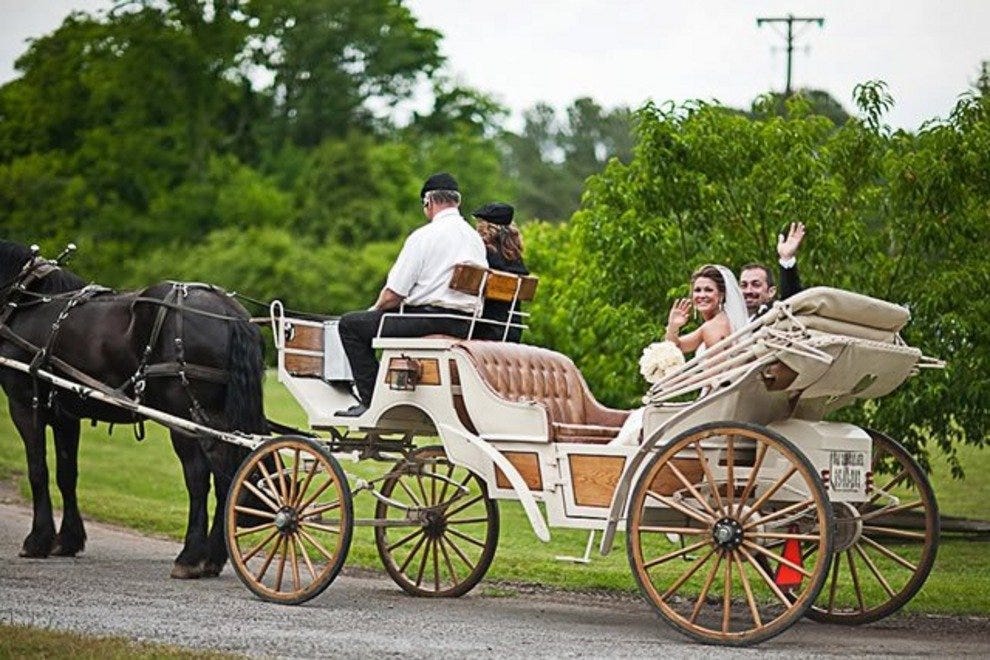 Nashville Carriage Rides 10Best Attractions Reviews