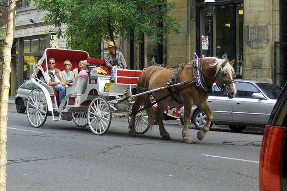 Nashville Carriage Rides 10Best Attractions Reviews