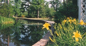 10Best Wowed by Flowers in Summerville SC