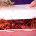 Crawfish to go