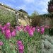 Sudeley Castle Gardens, Gloucestershire