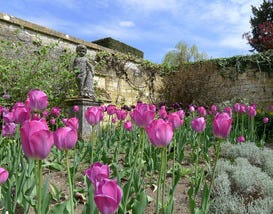 10Best Visits England's Most Beautiful Gardens