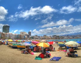 Tweet-Worthy Canary Islands Fly High