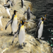 Central Park Zoo in NYC