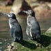 Galapagos Islands, Ecuador